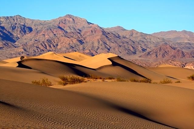 Mojave Desert